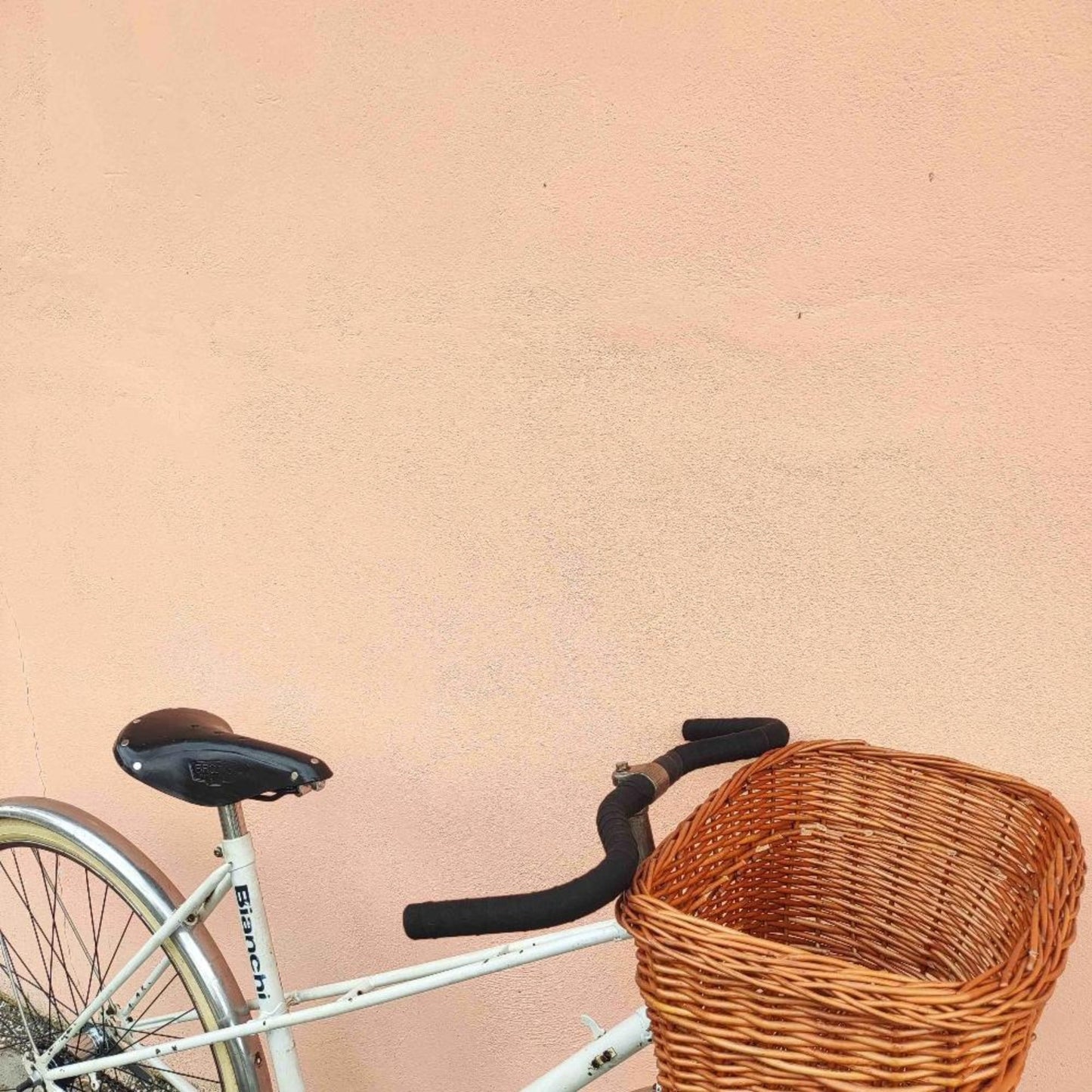 Bicicletta BIANCHI Sport Anni '90