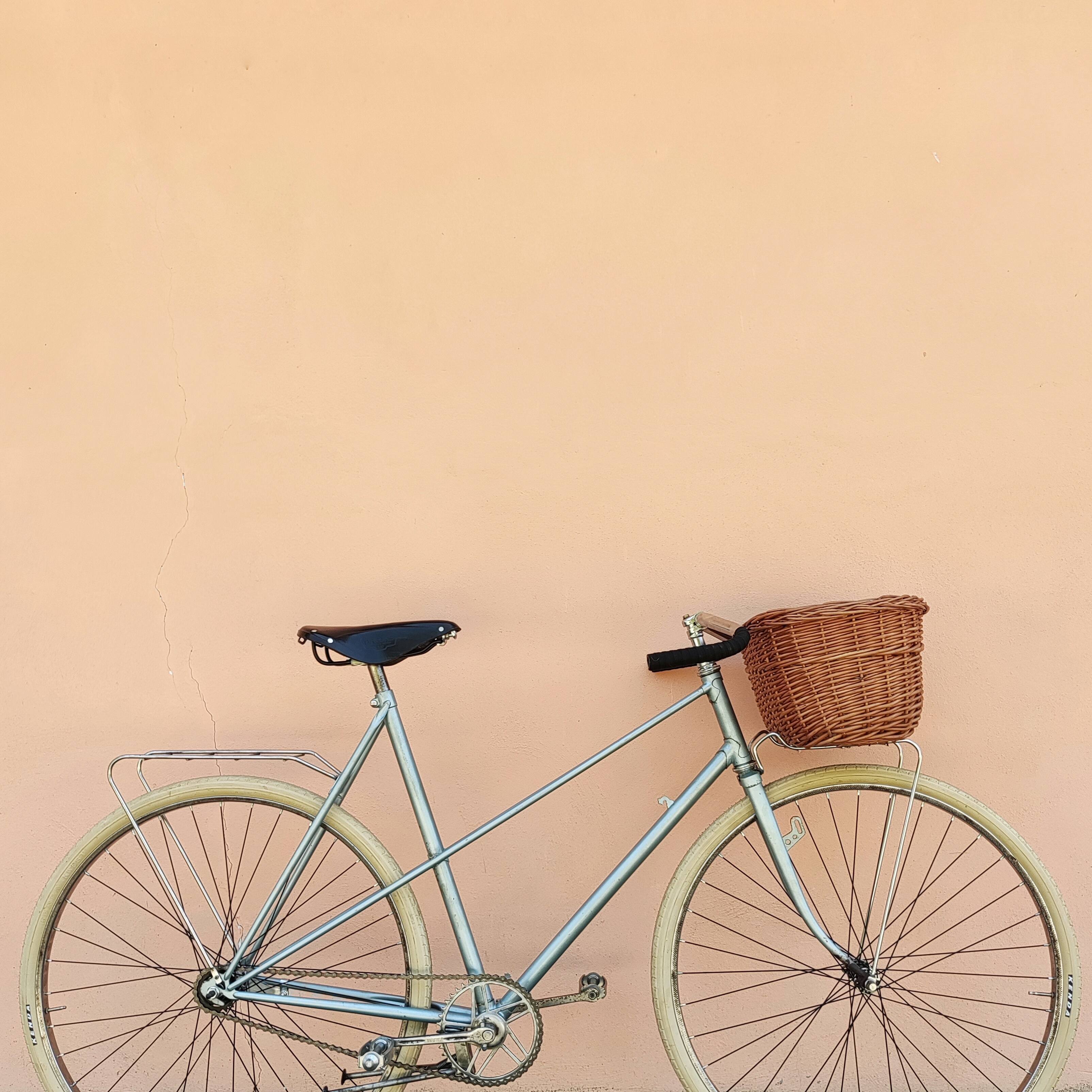 Bici vintage telaio bicicletta donna - Main Image