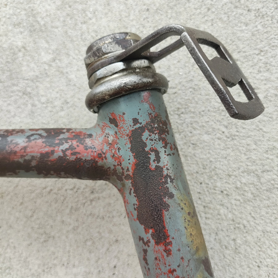 Tipologia CONSERVATA