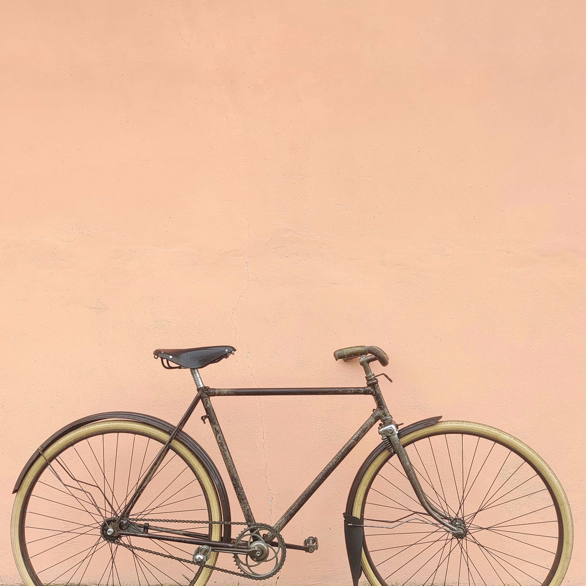 Bici Epoca Antica Bici Sella Bicicletta Bianchi Vintage Nuova