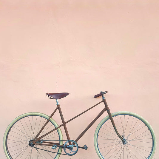 ANONYMOUS "Oxidized" Bicycle 90s