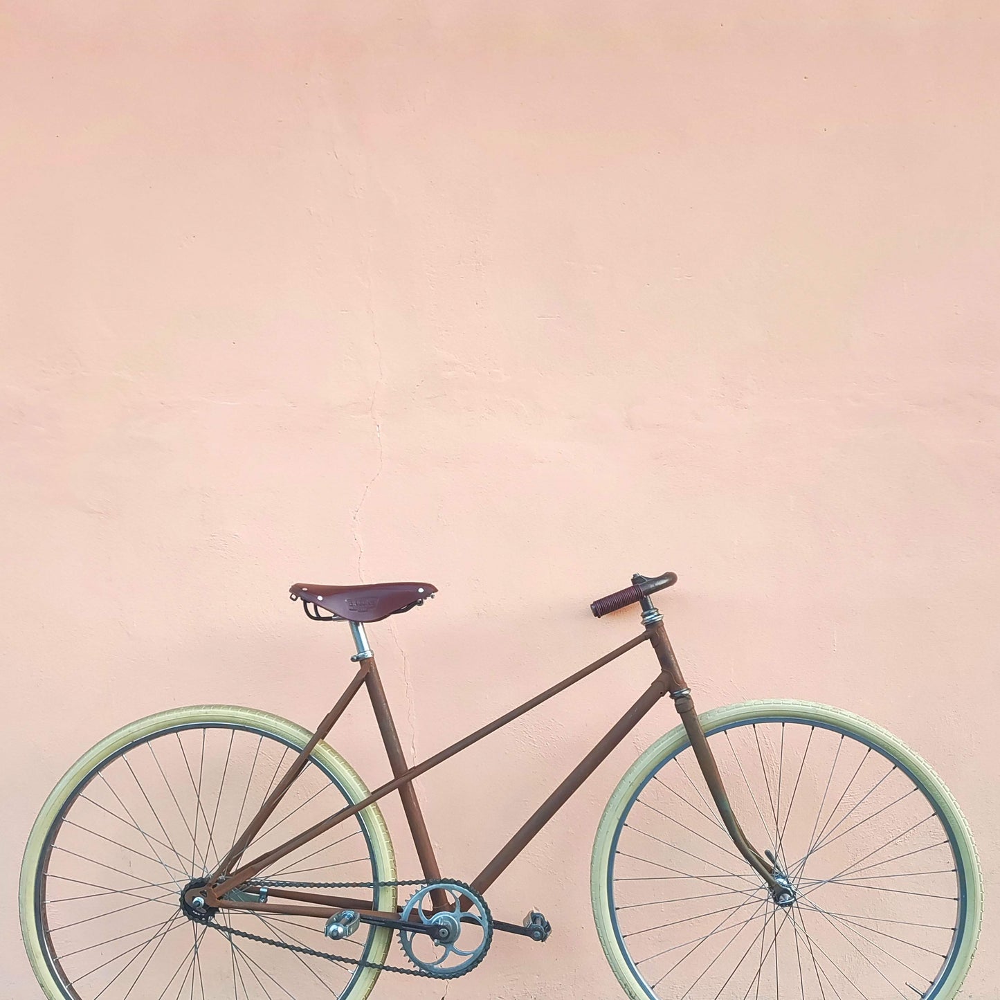 Bicicletta ANONIMA "Ossidata" Anni '90