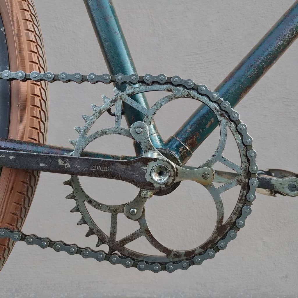 Guarnitura bicicletta dannata