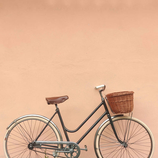 ANONYMOUS 60's bicycle