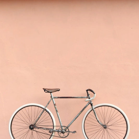 Bicicletta ANONIMA PIEMONTESE Corsa, primi '40