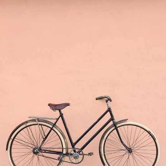 Bicicletta Dannata | Bicicletta d'epoca da donna con parafanghi, porrtapacchi, sella in cuoio, manubrio alto, ruote da 26". Bicicletta vintage