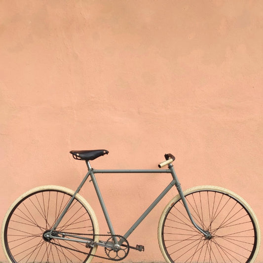 Bicicletta ANONIMA PIEMONTESE Anni '50